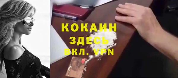 apvp Болотное