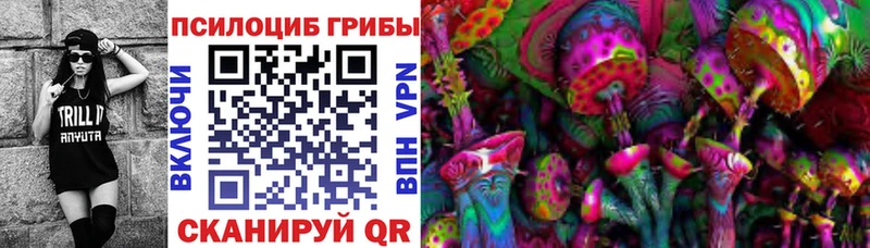 Псилоцибиновые грибы Psilocybine cubensis  Енисейск 